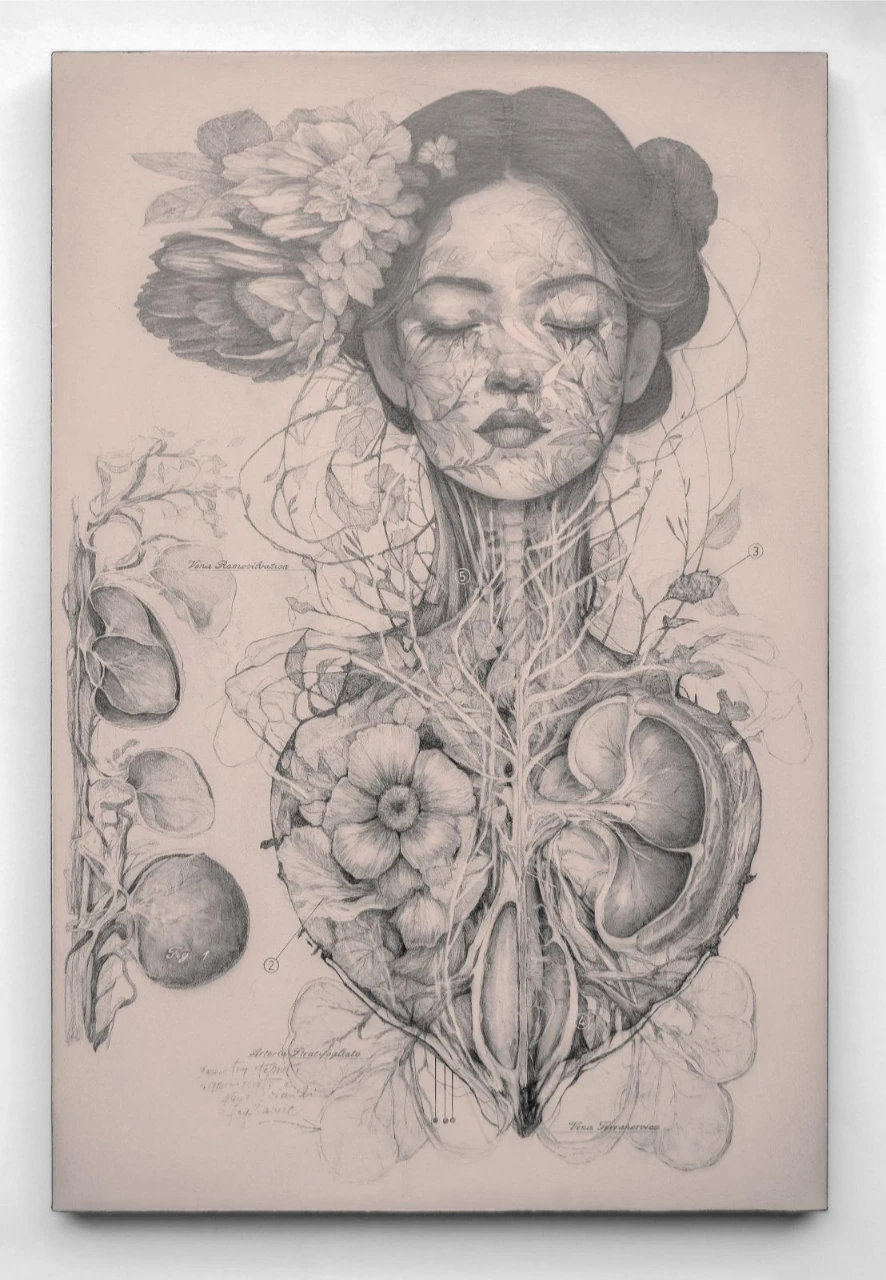 Dreamland: Dibujo anatómico-floral, Nunzio Paci